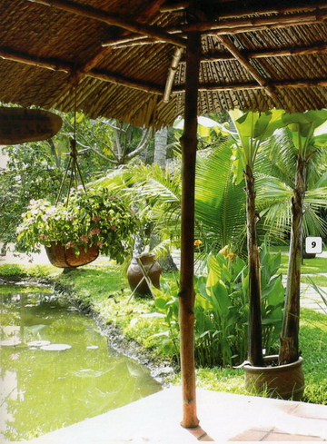 Bố trí cây xanh hài hòa phong thuỷ 7