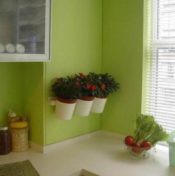 Cách trang trí nhà theo phong thủy cho người tuổi Tuất 3