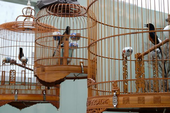 Bí quyết phong thủy giúp cuộc sống hạnh phúc hơn