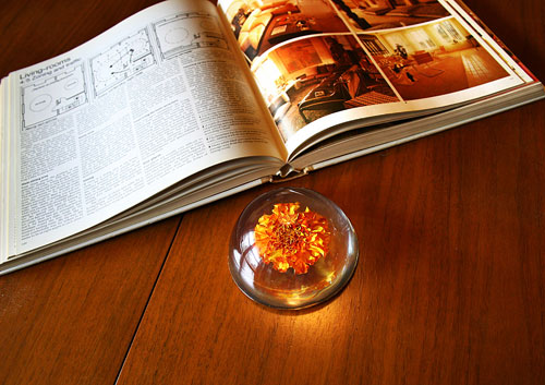 Những vật khí giúp tích tụ năng lượng cho không gian sống 6 Những vật khí giúp tích tụ năng lượng cho không gian sống | ảnh 7