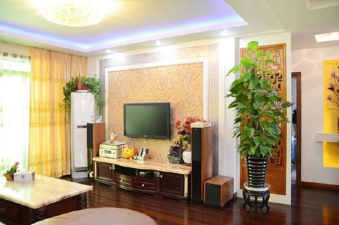 cây xanh trong phong phòng khách