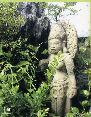 Bố trí cây xanh hài hòa phong thuỷ 13