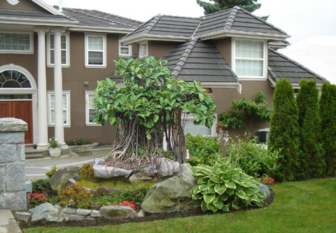 Ứng dụng Chu tước trong thiết kế nhà ở theo phong thủy Ứng dụng Chu tước trong thiết kế nhà ở theo phong thủy | ảnh 1