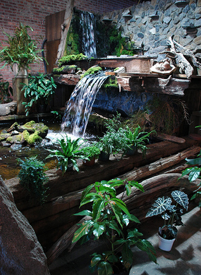 Nhà mùa hè mát hơn nhờ một vài mẹo phong thủy 2