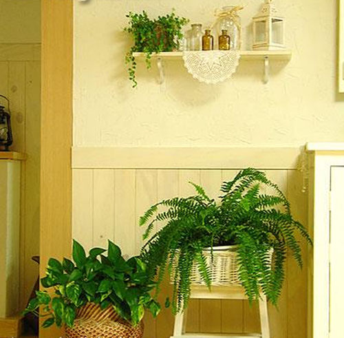 Một vài điều nên và không nên khi bố trí huyền quan | ảnh 2