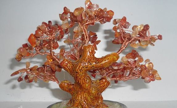 Mang sự thịnh vượng đến gia đình bằng cây tài lộc Mang sự thịnh vượng đến gia đình bằng cây tài lộc | ảnh 1