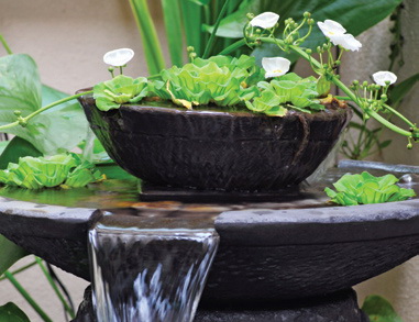 Bố trí nước trong nhà, tài lộc thẳng tiến Bố trí nước trong nhà, tài lộc thẳng tiến | ảnh 1