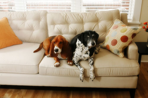 Tìm hiểu về âm trạch trong phong thủy hiện đại 2 Tìm hiểu về âm trạch trong phong thủy hiện đại | ảnh 3