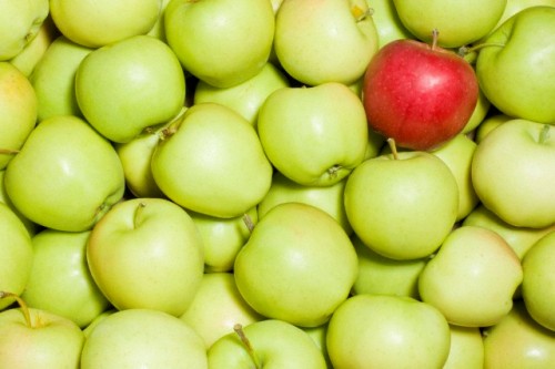 Hoa quả trong phong thủy 3 Hoa quả trong phong thủy | ảnh 4